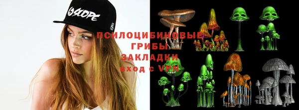 ПСИЛОЦИБИНОВЫЕ ГРИБЫ Заволжск