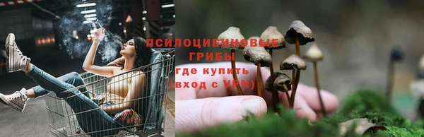 каннабис Заводоуковск