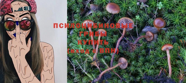 мет Пестово