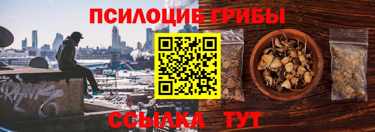 Псилоцибиновые грибы MAGIC MUSHROOMS  Галлюциногенные грибы Cubensis  Северобайкальск  Вход с VPN 